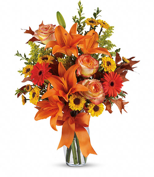 Burst of Autumn  from Clifford's where roses are our specialty